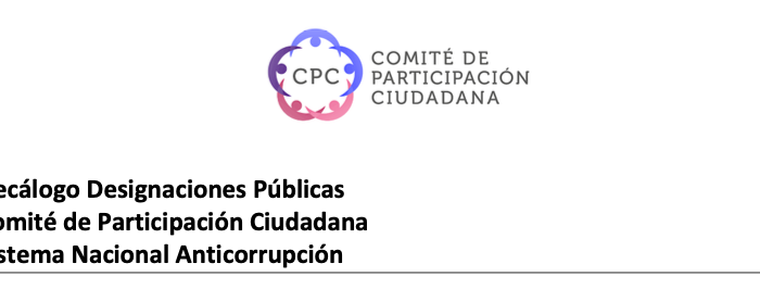 Decálogo Designaciones Públicas, Comité De Participación Ciudadana
